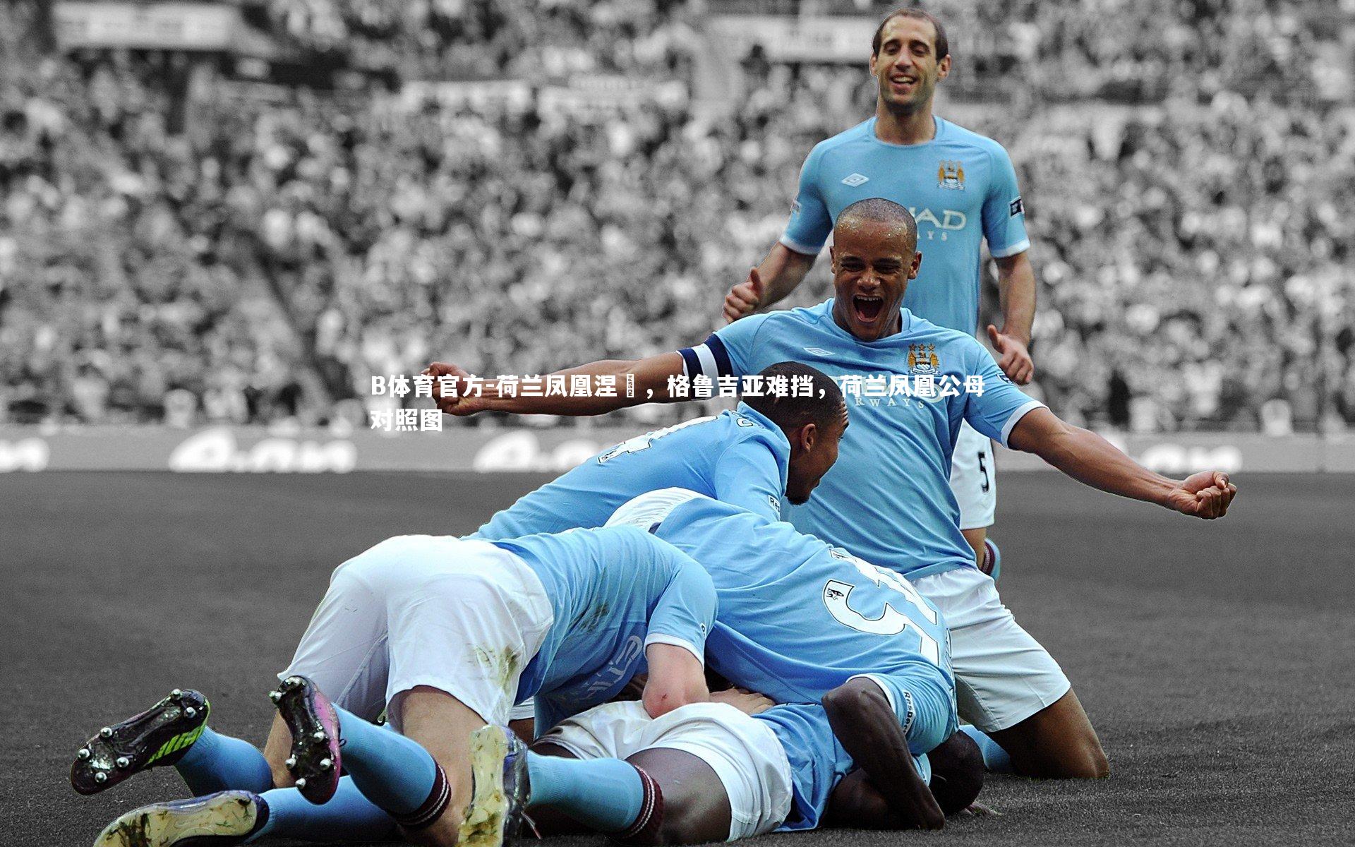 荷兰凤凰涅槃，格鲁吉亚难挡，荷兰凤凰公母对照图