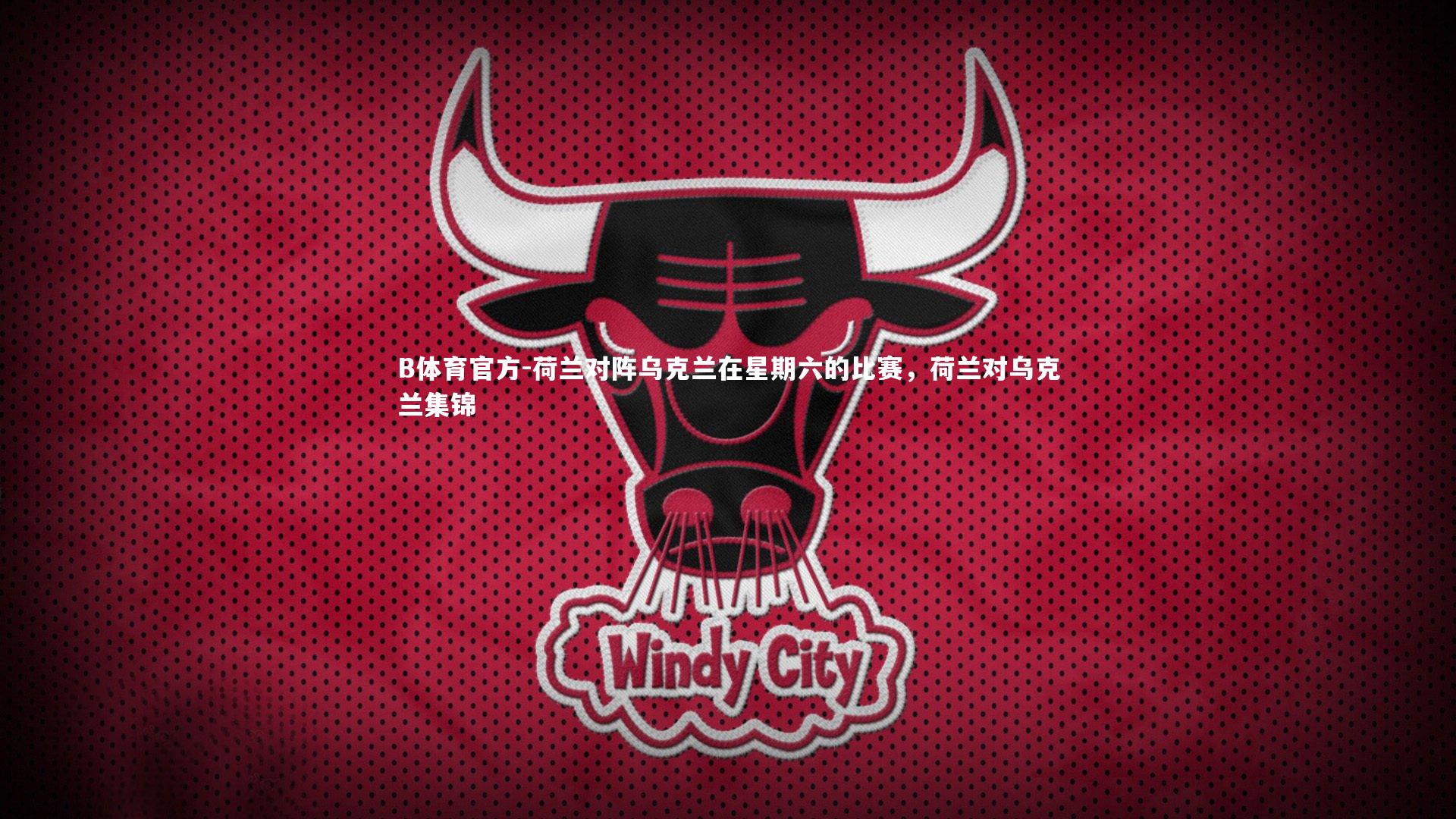 荷兰对阵乌克兰在星期六的比赛，荷兰对乌克兰集锦